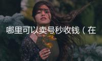  哪里可以卖号秒收钱（在什么平台上卖号可以秒到账）