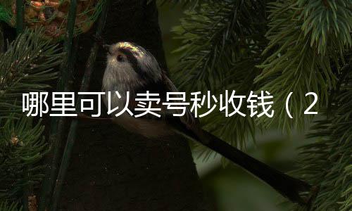 哪里可以卖号秒收钱微信回收正规官网平台（24小时高价回收vx秒结平台）