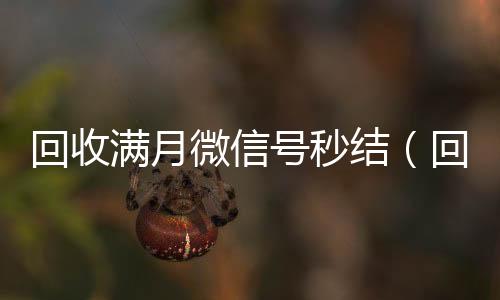 回收满月微信号微信回收秒结秒结（回收3月以上微信号）