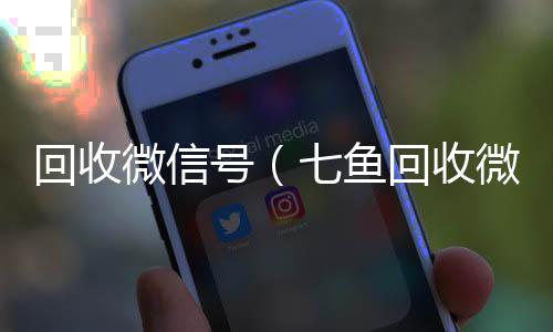 回收微信号收vx号（七鱼回收微信号）