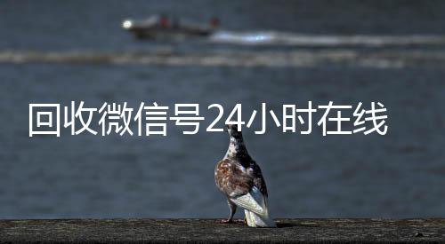 回收微信号24小时在在线回收微信秒结线秒结（24小时在线回收微信号专业平台）