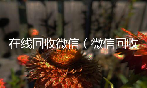 在线回收微可靠的卖微信号平台信（微信回收网）