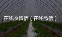  在线收微信（在线微信）