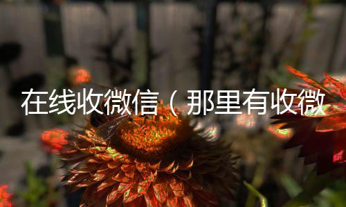 在线收微信微信回收秒结平台（那里有收微信的）
