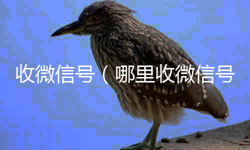 收微信号微信回收高价秒结平台（哪里收微信号）