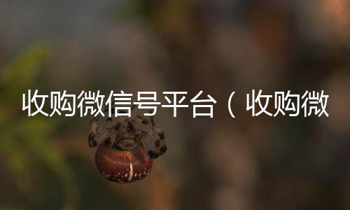 收购微信号平24小时在线回收vx台（收购微信号的平台）