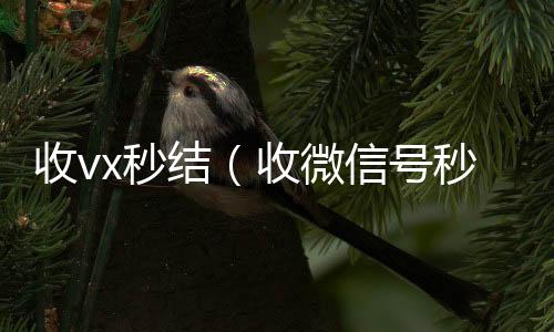 收vx秒结24小时在线回收vx（收微信号秒结钱的）