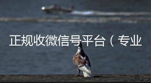 正规收微信号vx号回收平台平台（专业收微信号）