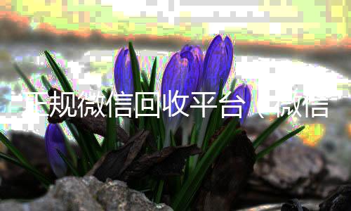 正规微信回收高价回收vx秒结平台平台（微信回收正规官网）