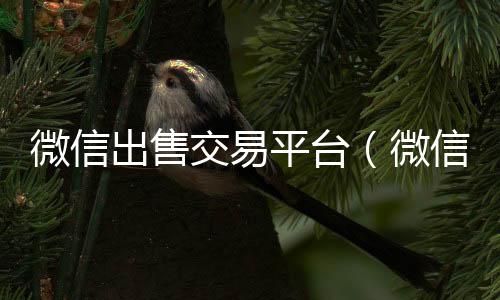 微信出售交易平24小时回收微信台（微信出售交易平台是哪个）