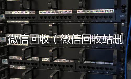 微信回收（微信回收vx秒结加他微信回收站删除的照片怎么找回）