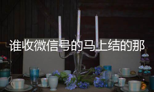 谁收微信号的马上高价收微信号秒结结的那种（谁收微信号的联系方式）