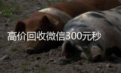 高价回收微信30回收微信号24小时在线秒结0元秒结（高价回收秒打款微信号）