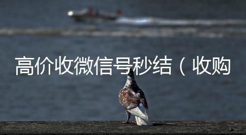 高价收微信号微信回收正规平台秒结（收购微信号秒结）