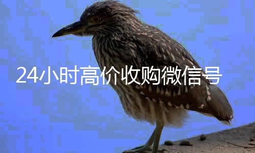 24小时高价收购微信高于市场价的高价收购微信号平台号（大量收购微信号需要的加我微信即可）