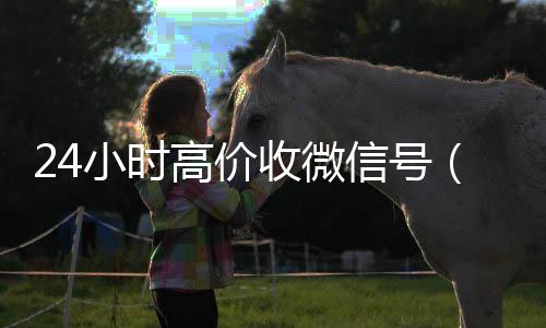 24小时高价收微正规回收微信号的工作室信号（24在线收微信号平台）