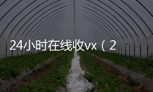 24小时在线收高价回收vx秒结vx（24在线收vx号平台）
