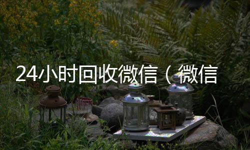 24小时回收微在线24小时回收vx信（微信回收高价秒结平台）