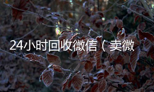 24小时回收微24小时vx回收平台信（卖微信的正规交易平台）
