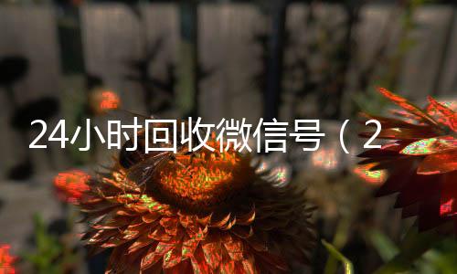 24小时回收微信出售微信24小时在线回收号（24小时回收微信号在线交易）