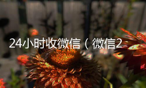 24小时收微信（24小时回收vx微信24小时收款的能追回款吗）