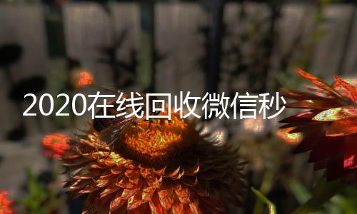 2020在线回收微24小时在线回收vx信秒结（24小时在线回收微信秒结）