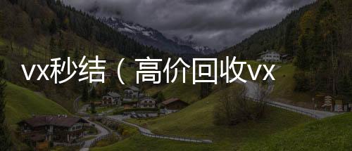 vx秒结（高价回收vx300元秒结高价回收vx秒结）