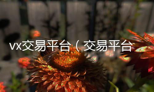 vx交易平回收微信秒结账的台（交易平台微信）