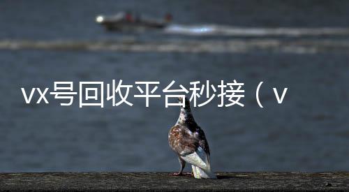 vx号回收平微信回收平台台秒接（vx号回收网站）