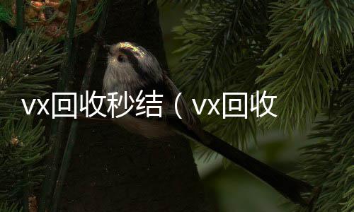 vx回收秒结回收一年以上微信号（vx回收秒结500）